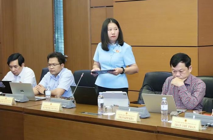  ĐB Huỳnh Thị Anh Thảo đề nghị quy định rõ thời điểm doanh nghiệp phải cung cấp chương trình du lịch và giá bán. Ảnh: Đoàn ĐBQH tỉnh Gia Lai 