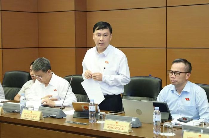 ĐB Lê Hoàng Anh đồng tình với việc tiếp tục duy trì giấy phép kinh doanh thuốc lá, song đề nghị bổ sung quy định chuyển tiếp để tránh xáo trộn hoạt động kinh doanh. Ảnh: Đoàn ĐBQH tỉnh Gia Lai