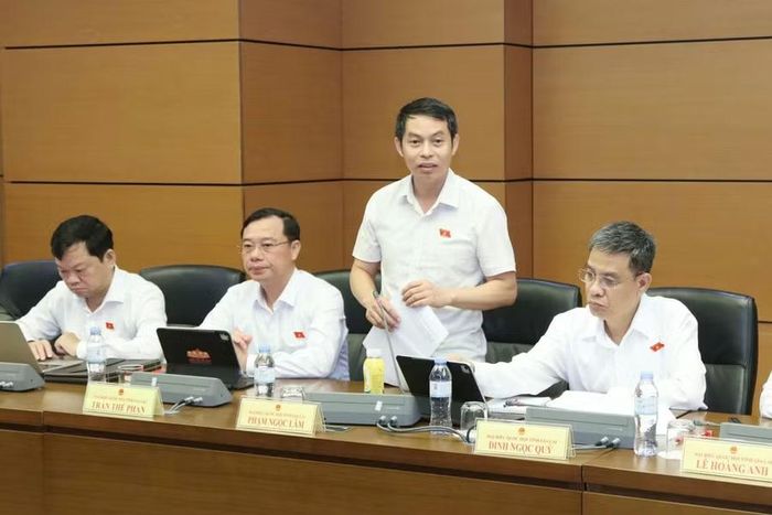 ĐB Phạm Ngọc Lâm đề nghị xem xét bãi bỏ yêu cầu bắt buộc cấp giấy phép phân phối, bán buôn, bán lẻ thuốc lá. Ảnh: Đoàn ĐBQH tỉnh Gia Lai