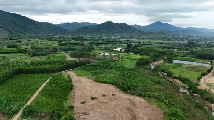 Xã Bình Khê đã bàn giao 3,87 km đất trồng cây hằng năm và 3 km đất rừng sản xuất để thi công dự án. Ảnh: Quang Tấn