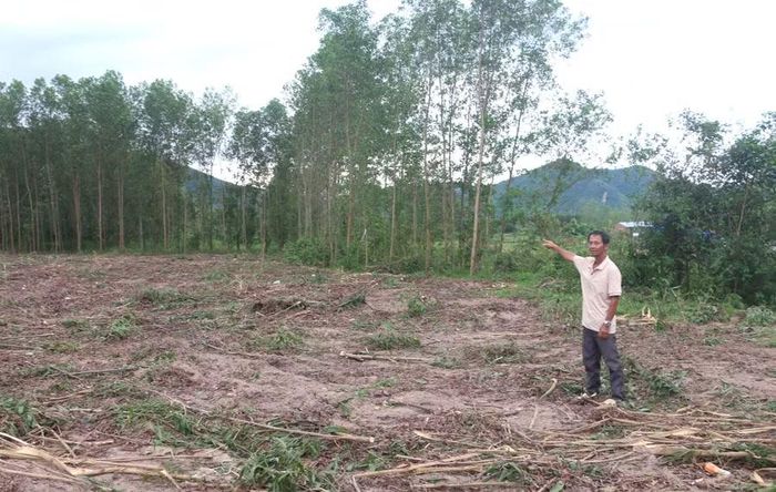 Gia đình ông Nguyễn Ngọc Tiến (thôn Thường Giang) đồng thuận với chủ trương thu hồi cũng như phương án bồi thường của địa phương. Ảnh: Quang Tấn