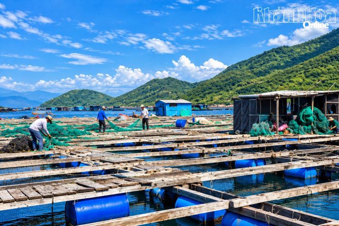 Bè nuôi cá chim của người dân tại khu vực Hòn Săng.