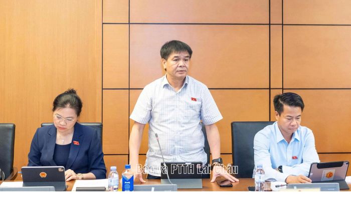 Đại biểu Nguyễn Hữu Toàn tham gia ý kiến thảo luận.