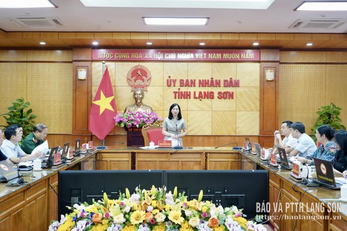 Đồng chí Trần Thanh Nhàn, Phó Chủ tịch UBND tỉnh phát biểu tại cuộc họp