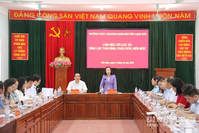 Đồng chí Đoàn Thị Hậu, Phó Bí thư Tỉnh ủy, Chủ tịch HĐND tỉnh phát biểu tại buổi làm việc
