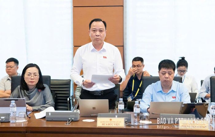 Đại biểu Hứa Đức Việt, Đoàn đại biểu Quốc hội tỉnh phát biểu thảo luận tại tổ