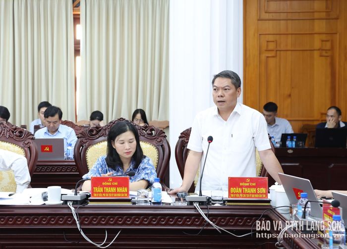 Đồng chí Đoàn Thanh Sơn, Phó Chủ tịch UBND tỉnh phát biểu tại hội nghị