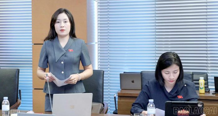 Đại biểu Lý Hương tham gia góp ý vào dự án Luật sửa đổi, bổ sung một số điều của Luật Người khuyết tật.