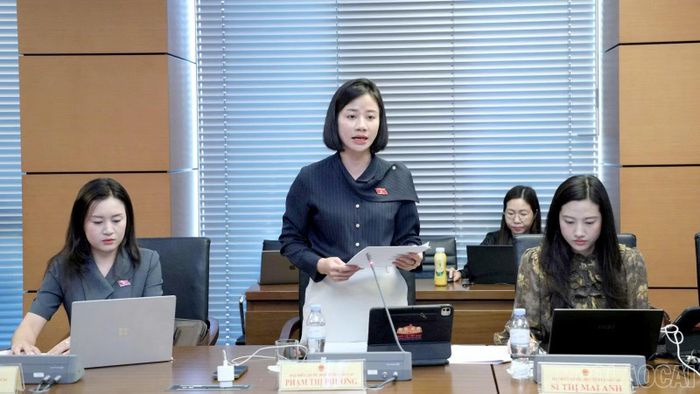 Đại biểu Phạm Thị Phương tham gia thảo luận tại tổ.