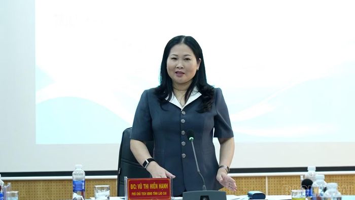 Phó Chủ tịch UBND tỉnh Vũ Thị Hiền Hạnh phát biểu kết luận hội nghị.