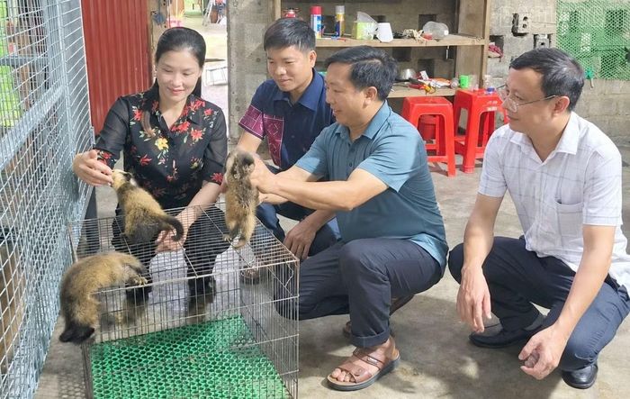 Lãnh đạo xã Văn Chấn thăm mô hình nuôi cầy hương của gia đình anh Mùa A Trang.