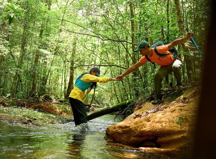 Hướng dẫn viên người địa phương thường có nhiều kinh nghiệm, kiến thức về những cánh rừng