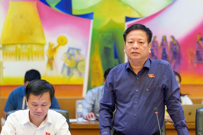Đại biểu Nguyễn Trường Giang, Đoàn ĐBQH tỉnh Lâm Đồng nêu ý kiến