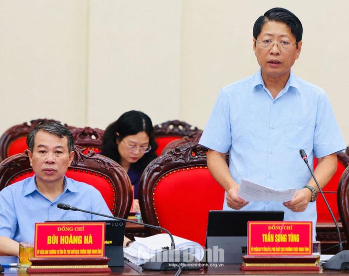 Đồng chí Trần Song Tùng, Ủy viên Ban Thường vụ Tỉnh ủy, Phó Chủ tịch Thường trực UBND tỉnh phát biểu tại hội nghị.