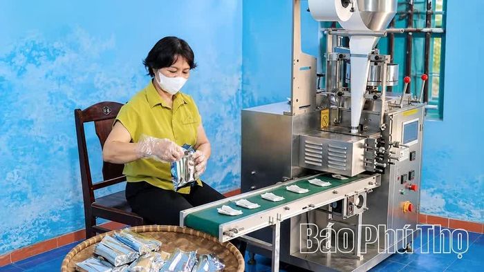 HTX Dịch vụ thuỷ lợi Hiền Quan thu mua, sơ chế, hoàn thiện bao bì và phát triển sản phẩm trà thảo mộc.