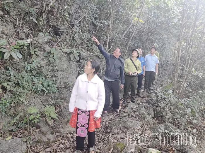 Lực lượng bảo vệ rừng phối hợp với chính quyền địa phương tăng cường kiểm tra, bảo vệ diện tích rừng đặc dụng Hang Kia - Pà Cò.