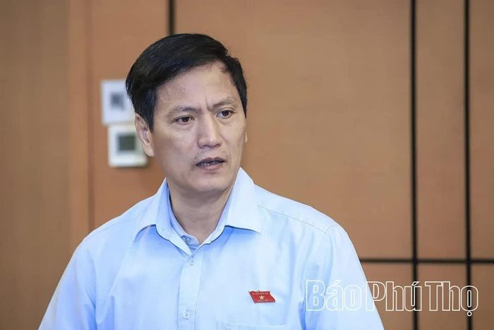 Đại biểu Quốc hội tỉnh Vương Kim Ánh thảo luận ở Tổ.