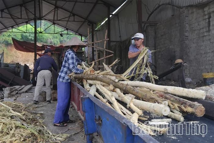 Nghề chế biến gỗ nơi đây tạo việc làm cho người dân với nguồn thu nhập ổn định.