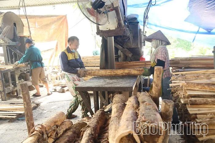 Nghề chế biến gỗ còn góp phần thúc đẩy nghề trồng rừng trên địa bàn xã và các xã lân cận.