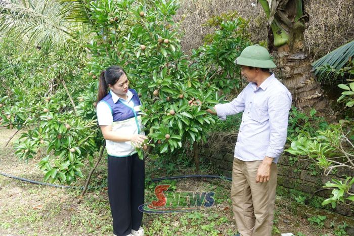 Cán bộ Trung tâm Khuyến nông và Chuyển đổi số tỉnh trao đổi kinh nghiệm phát triển mô hình sản xuất nông nghiệp gắn với du lịch tại farmstay Ngô Gia Trang.