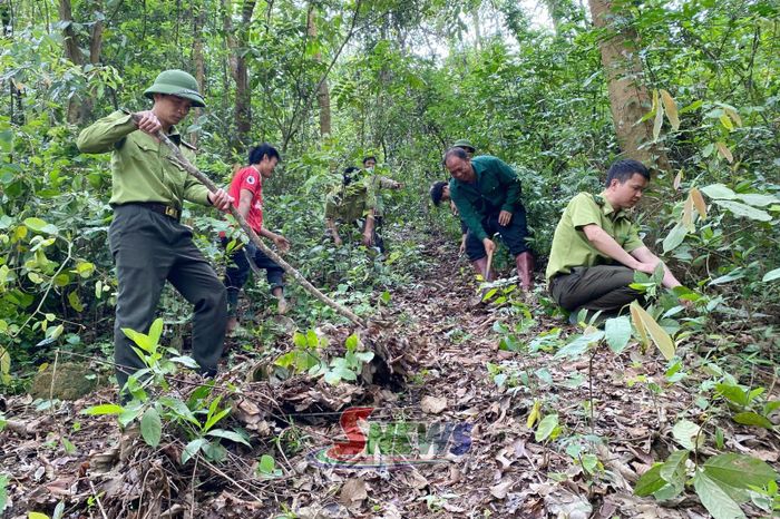 Cán bộ Ban quản lý rừng đặc dụng phòng hộ Sốp Cộp cùng nhân dân phát dọn thực bì.