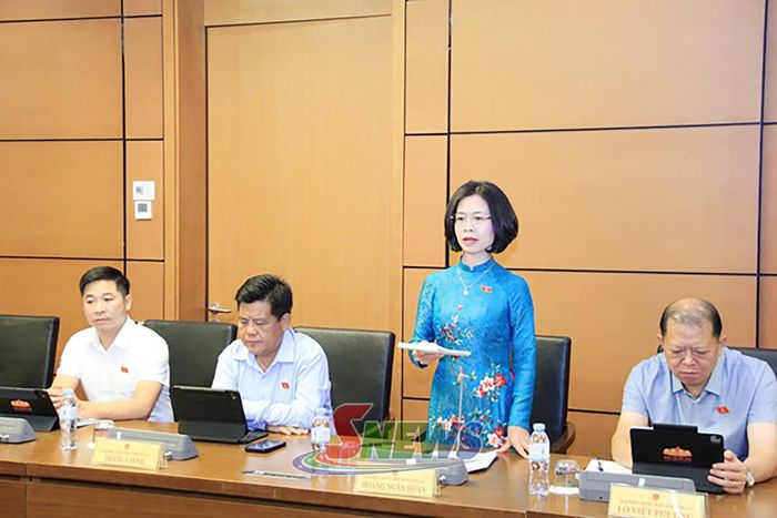 Đại biểu Hoàng Ngân Hoàn phát biểu