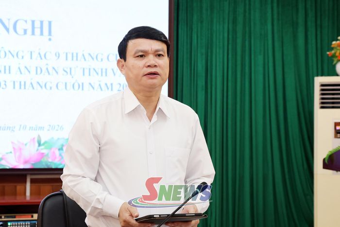 Đồng chí Đặng Ngọc Hậu, Phó Chủ tịch UBND tỉnh, Trưởng Ban Chỉ đạo Thi hành án dân sự tỉnh phát biểu chỉ đạo tại hội nghị.