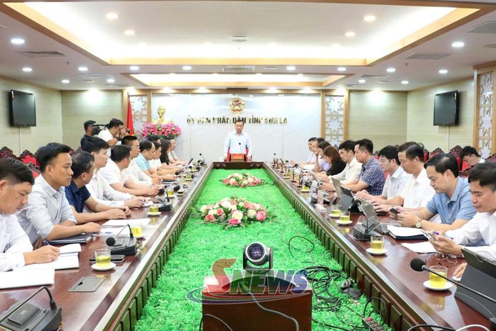Cuộc làm việc về công tác chuẩn bị khởi công các dự án thu hút đầu tư trong lĩnh vực du lịch.