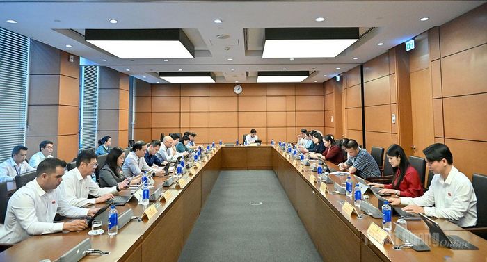 Toàn cảnh phiên thảo luận tổ.