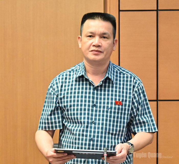 ĐBQH Hoàng Ngọc Định thảo luận.
