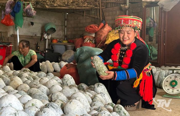 Chị Triệu Thị Kiều cùng người dân thôn Tân Sơn thu hoạch bí, chia sẻ niềm vui từ thành quả lao động.