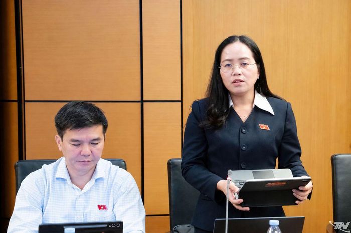 Đại biểu Hồ Thị Kim Ngân (Đoàn ĐBQH tỉnh Thái Nguyên) phát biểu.
