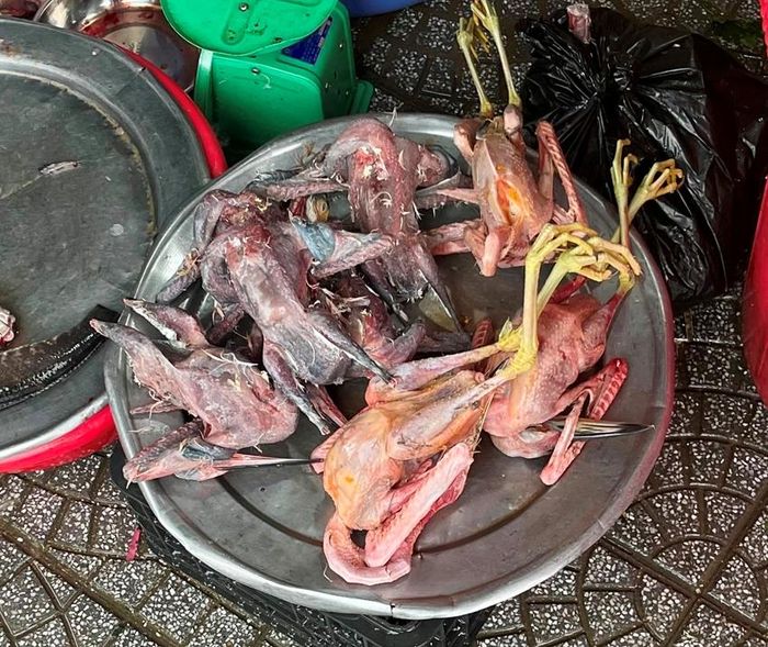  Chim hoang dã được bày bán công khai tại chợ An Cựu. Ảnh: Nguyễn Khánh - Công Minh