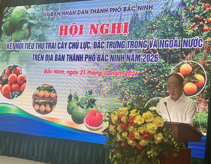 Ông Nguyễn Thế Thi, Phó Giám đốc Sở Công Thương Bắc Ninh phát biểu tại hội nghị.