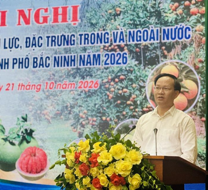 Phó Chủ tịch UBND thành phố Bắc Ninh Phạm Văn Thịnh kết luận hội nghị.