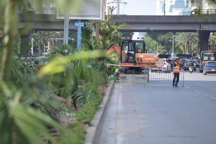 Công nhân đang triển khai chặt hạ, di dời cây xanh để lấy mặt bằng làm hầm chui. 