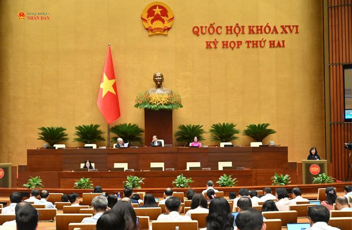 Bộ trưởng Bộ Y tế Đào Hồng Lan trình bày tờ trình về dự án Luật Hiến, lấy, ghép mô, bộ phận cơ thể người và hiến, lấy xác (sửa đổi). Ảnh: Quang Khánh