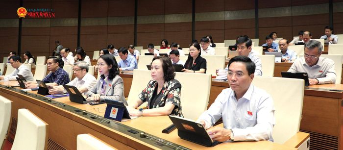 Phó Chủ tịch Quốc hội, Thượng tướng Nguyễn Doãn Anh và các đại biểu tham dự phiên họp. Ảnh: Khánh Duy