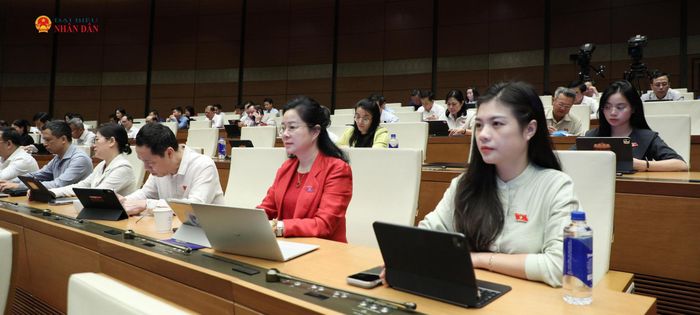 Các đại biểu tham dự phiên họp. Ảnh: Khánh Duy