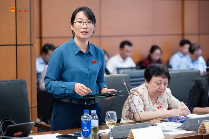 ĐBQH Trần Thị Diệu Thúy (TP. Hồ Chí Minh) phát biểu