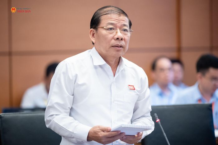 ĐBQH Nguyễn Thanh Sang (TP. Hồ Chí Minh) phát biểu