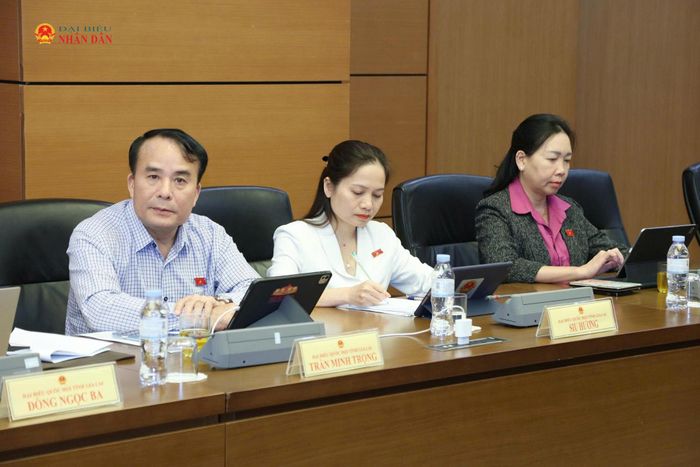 Các ĐBQH tham dự thảo luận tổ. Ảnh: An Nhiên