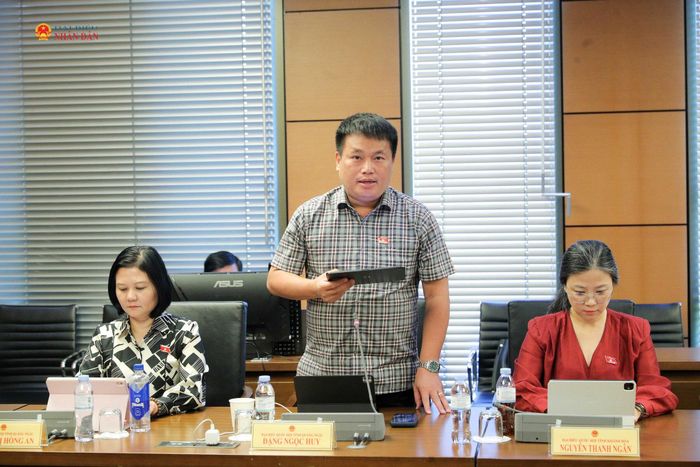 ĐBQH Đặng Ngọc Huy (Quảng Ngãi) phát biểu