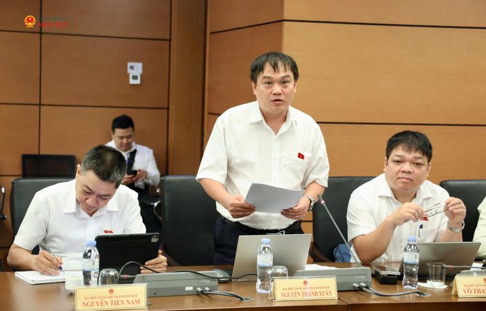 ĐBQH Nguyễn Thanh Xuân (TP. Huế) phát biểu
