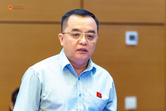 ĐBQH Huỳnh Ngọc Liêm (Lâm Đồng) phát biểu. Ảnh: Tiến Cường