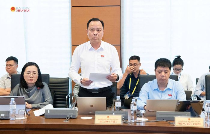 ĐBQH Hứa Đức Việt (Lạng Sơn) phát biểu