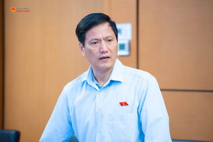 ĐBQH Vương Kim Ánh (Phú Thọ) phát biểu. Ảnh: Xuân Quý