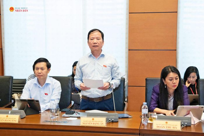 ĐBQH Nguyễn Đặng Ân (Lạng Sơn) phát biểu