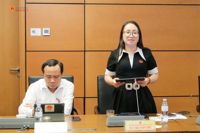 ĐBQH Hà Thị Anh Thư (Quảng Ngãi) phát biểu