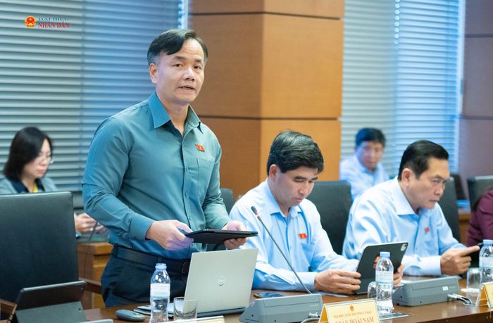 ĐBQH Trần Hoài Nam (Cà Mau) phát biểu. Ảnh: Xuân Quý
